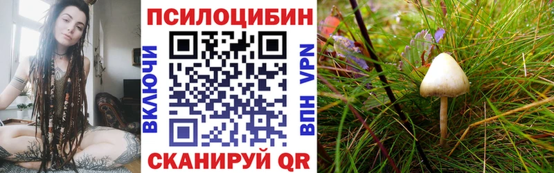Псилоцибиновые грибы MAGIC MUSHROOMS  магазин продажи   Бавлы 